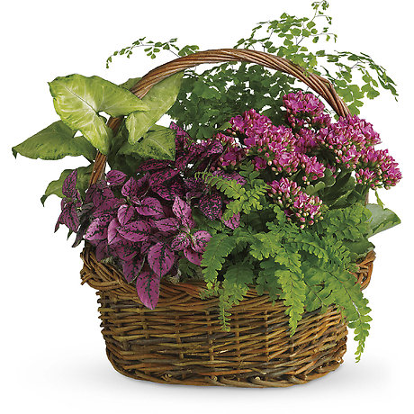 Secret Garden Basket
