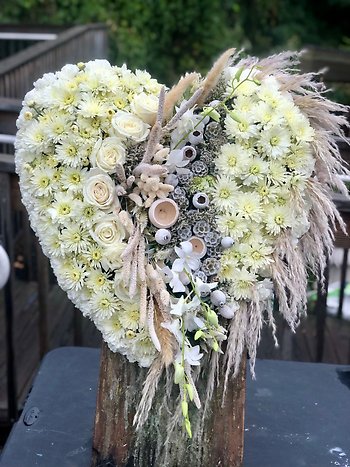 Feathered Heart