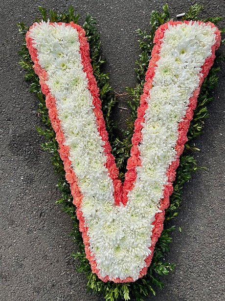 Letter V